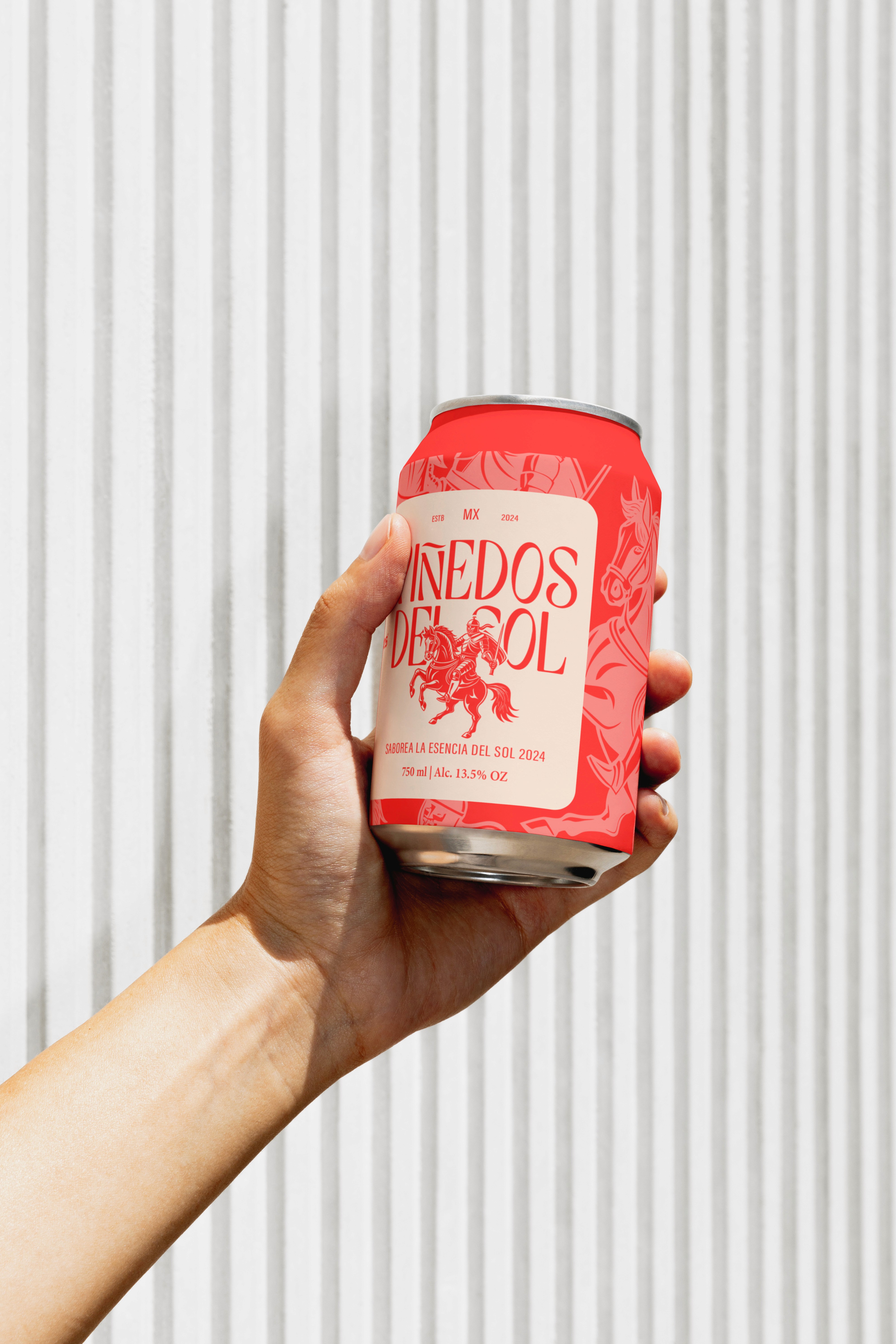 Portfolio project image